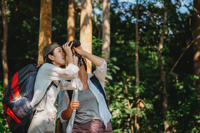 AdobeStock_766048411