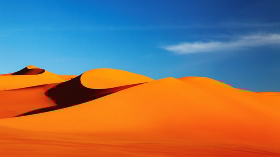 Desert_29200326
